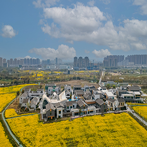 綠動(dòng)合肥 無廢友約 2025合肥市“國(guó)際無廢日”主題活動(dòng)